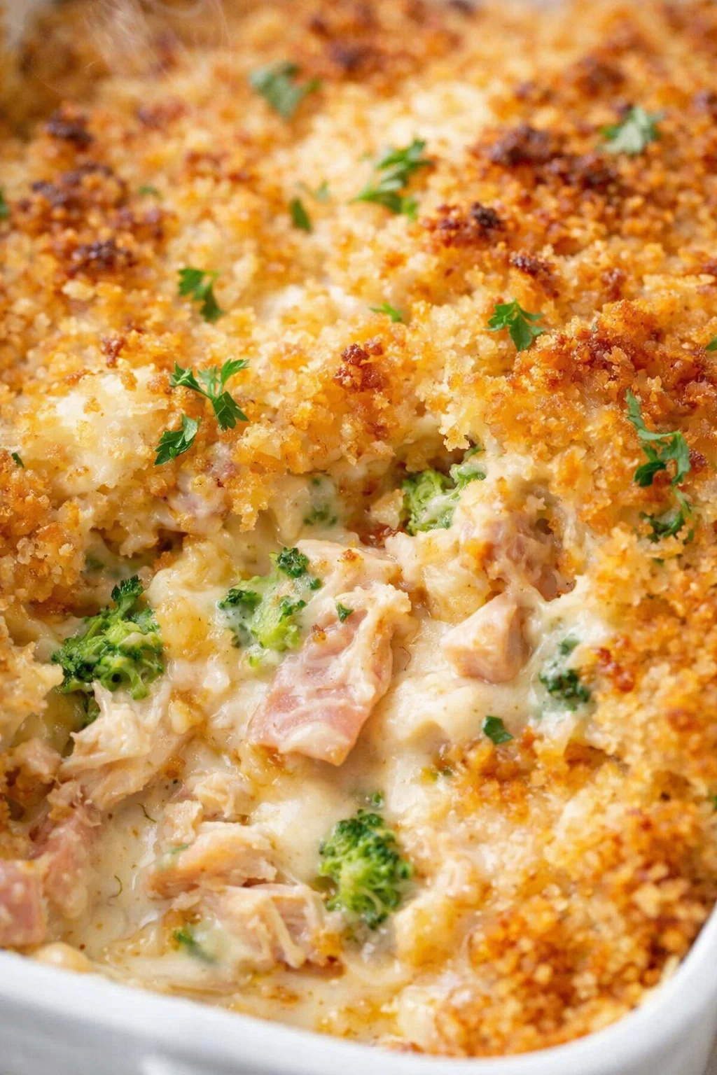 golden breadcrumb-crusted broccoli chicken bake with creamy cheese sauce in a white dish