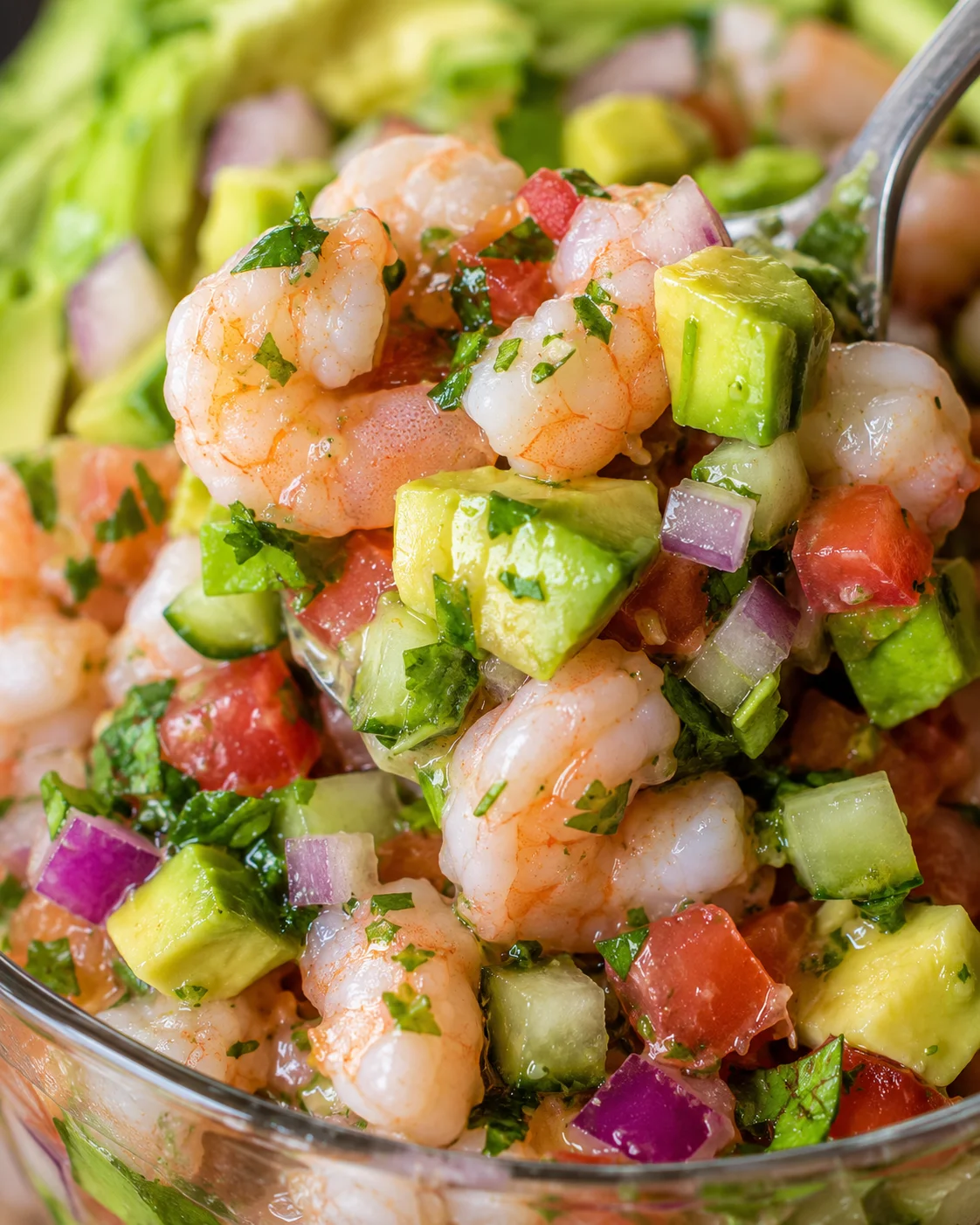 Shrimp and avocado salad with cucumber, tomato, red onion, and cilantro in a glossy herb dressing